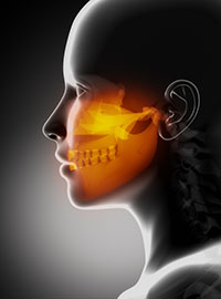 digital illustration of left side of human face with maxillofacial/jaw area highlighted